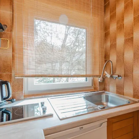 Apartment Holger By Interhome Zell am See
