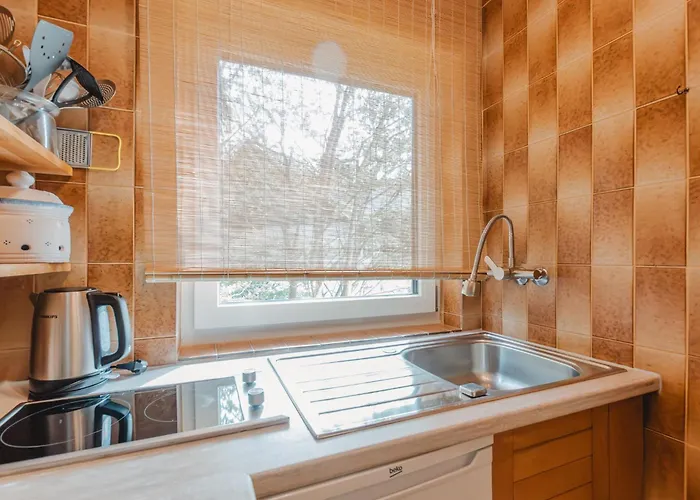 Apartment Holger By Interhome Zell am See